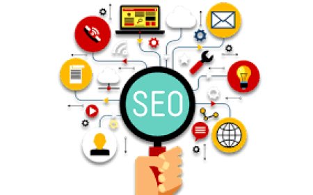 Profesyonel SEO İçin En Güçlü Backlink Kaynağı